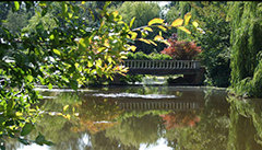 Windlesham