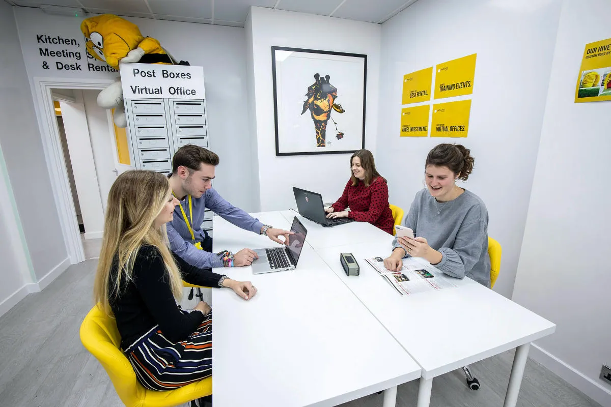 Business Advice in Torquay