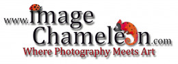 Image Chameleon