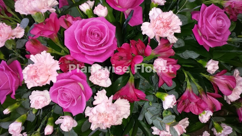 Plantwise Florist