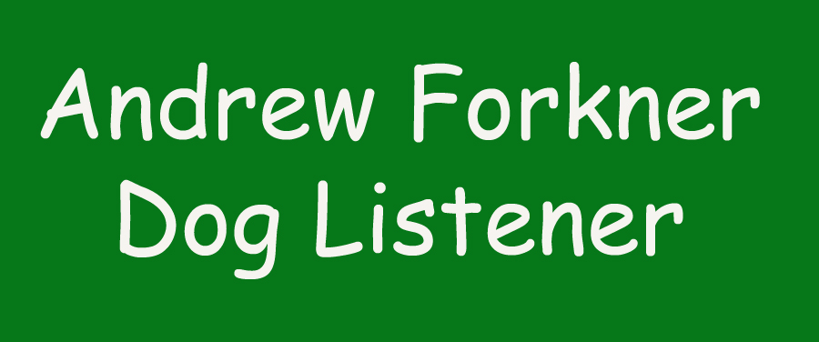 Andrew Forkner Dog Listener