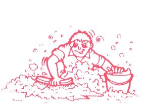 Teddy Care Carpet and Upholstery Cleaning Services