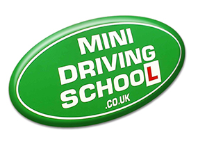 Mini Driving School