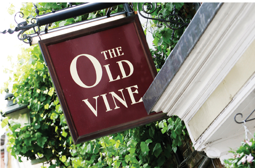 The Old Vine