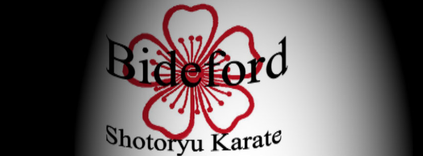 Bideford Shotoryu Karate