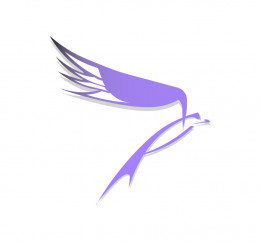 Purple Hawk Ltd